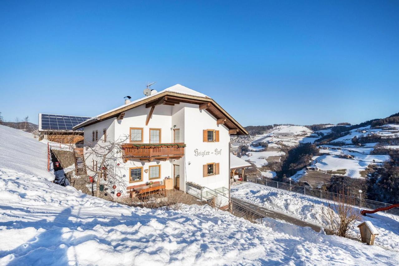 Wohnung Schlern Heigler Hof コッレピエトラ エクステリア 写真