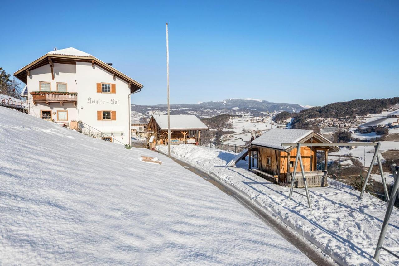 Wohnung Schlern Heigler Hof コッレピエトラ エクステリア 写真